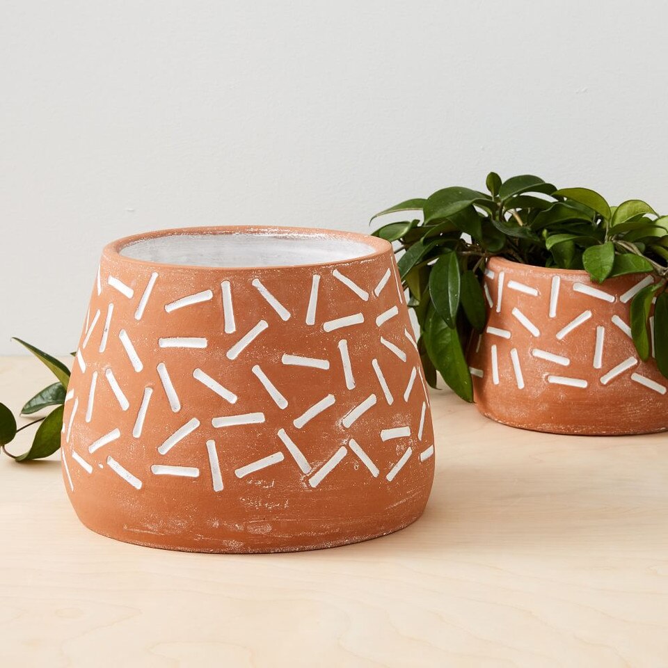 Confetti Terracotta Planters West Elm Australia